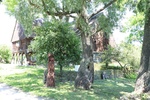  Chata Mennonicka na terenie sadu w Chrystkowie / fot. Karolina Hunker