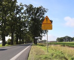 Znak informujący o ograniczonej skrajni poziomej drogi / fot. A. Dembek